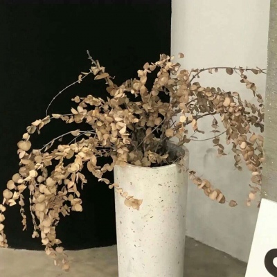 Furry绘画避坑实用指南FurryQQ群